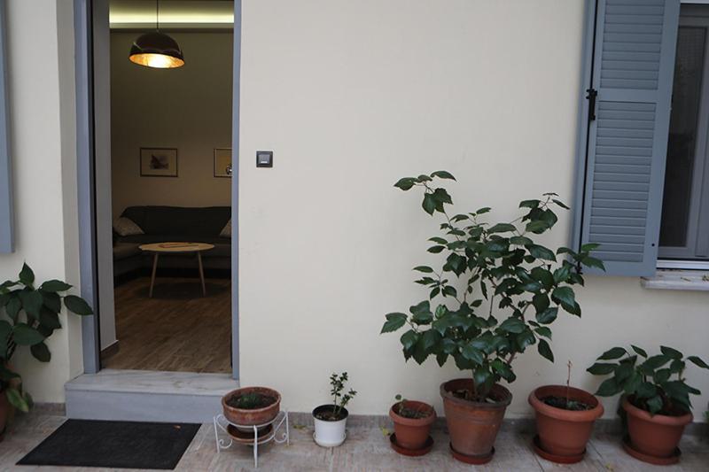 Όμορφο Διαμέρισμα Σε Διατηρητέο Κτίσμα Στην Αθήνα エクステリア 写真